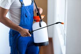 Best Residential Pest Control  in Buford, GA